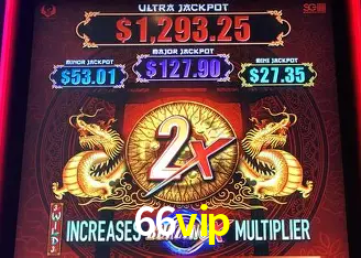 66vip Rio de Janeiro - Professional Dealers